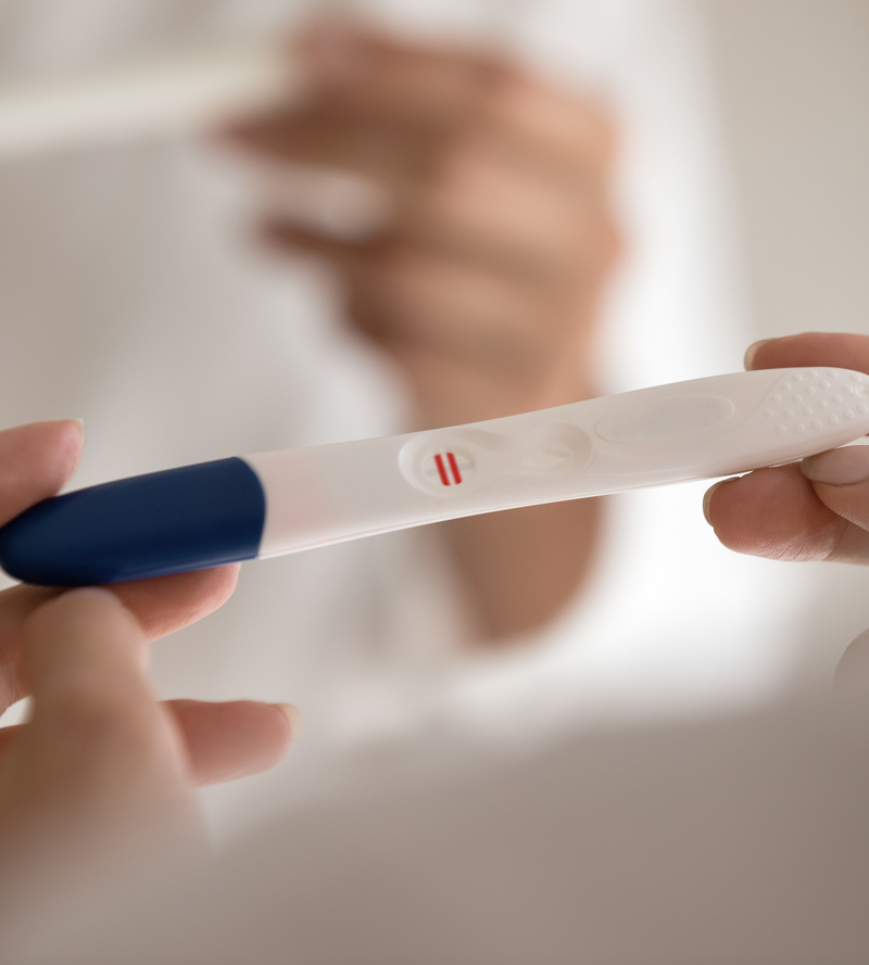 The Critical Role of Time in Fertility